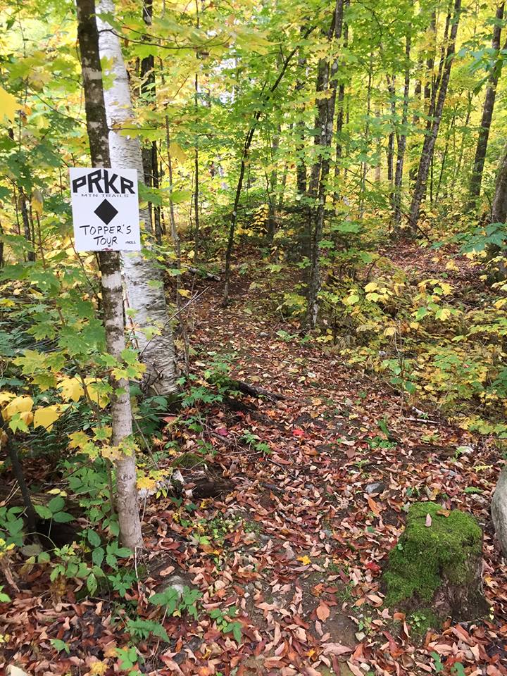 trail sign in the woods
