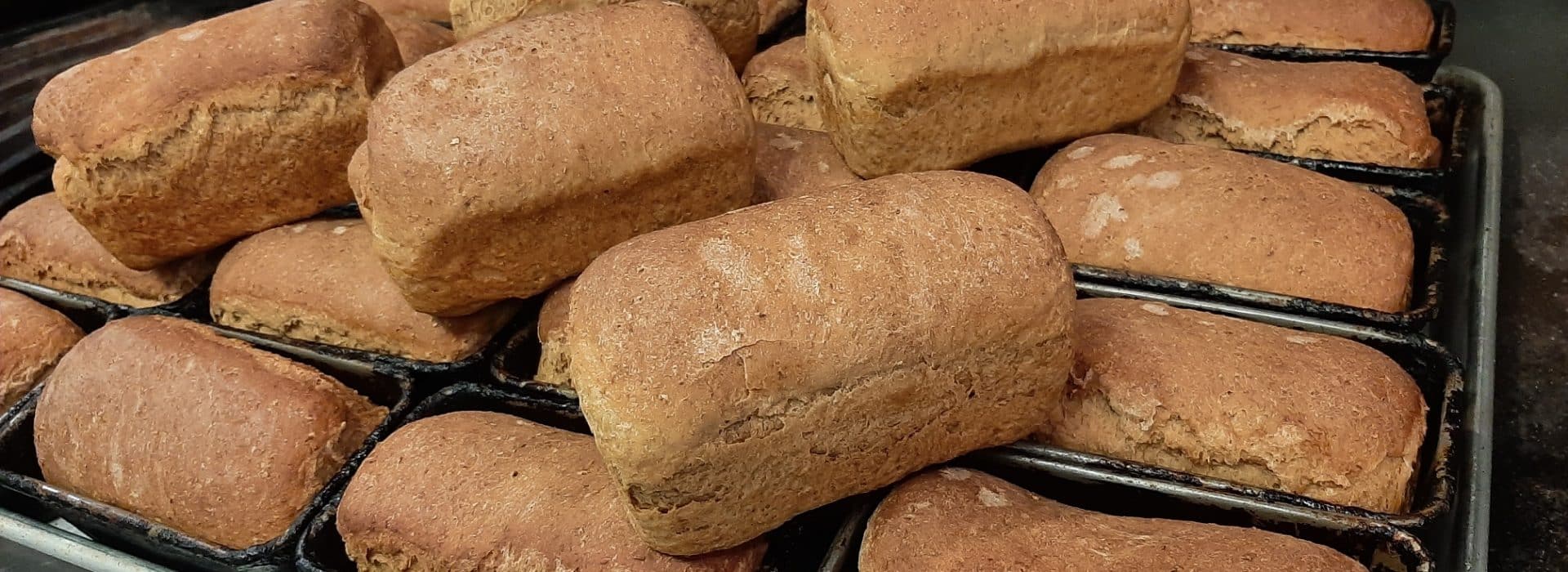 several small loaves of oatmeal molasses bread in baking pans