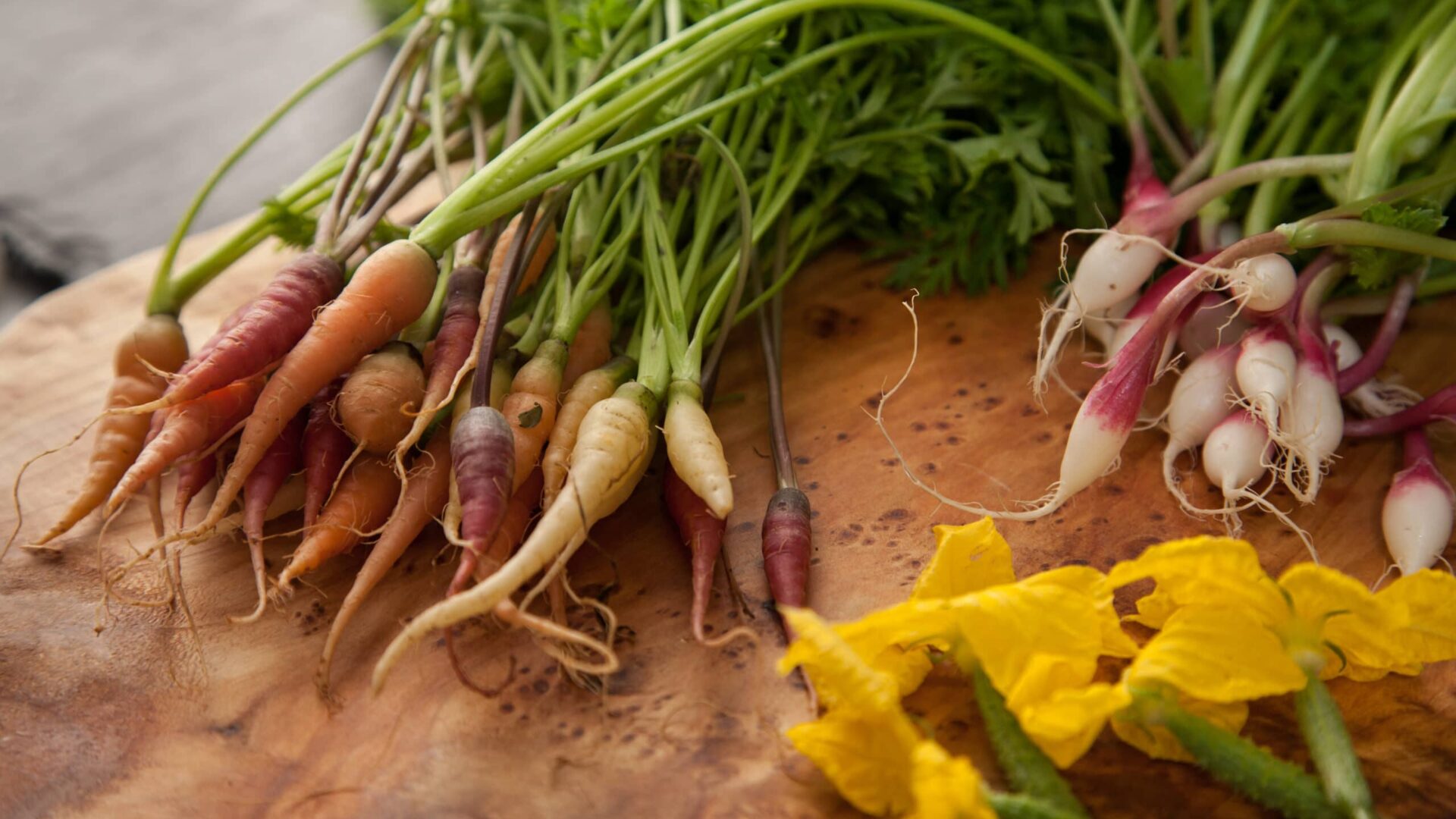 Vermont Farm fresh local carrots and radishes