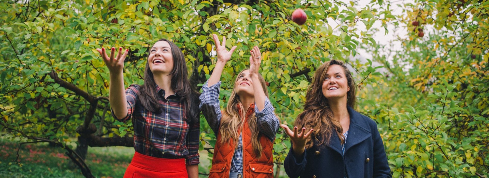 three girls picking apples