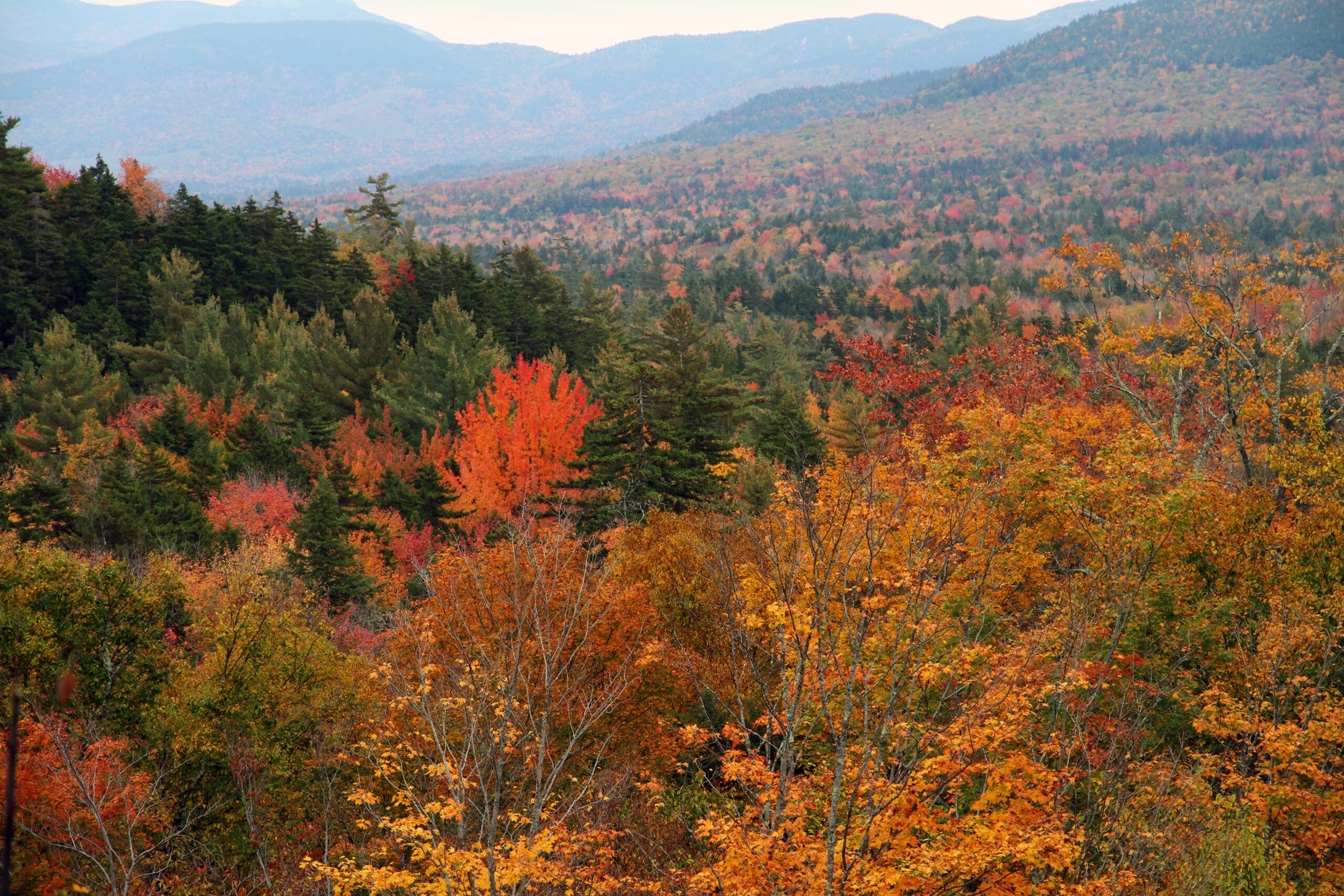 10 Best Ways To See Fall Colors in Vermont & New Hampshire