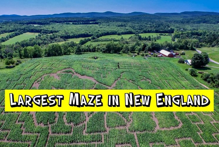 Aerial view of large corn maze with rolling hills in the background and text that says Largest Maze in New England