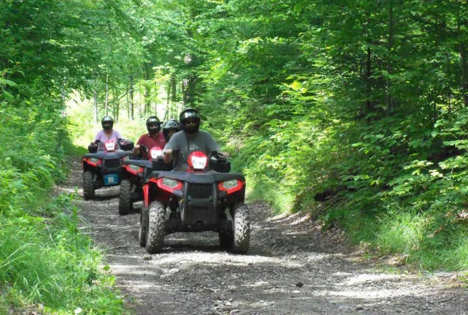 People riding on red and black ATVs on gravel path surrounded by green trees and grasses