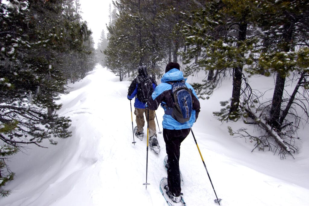 a couple snowshoeing in the snowy woods