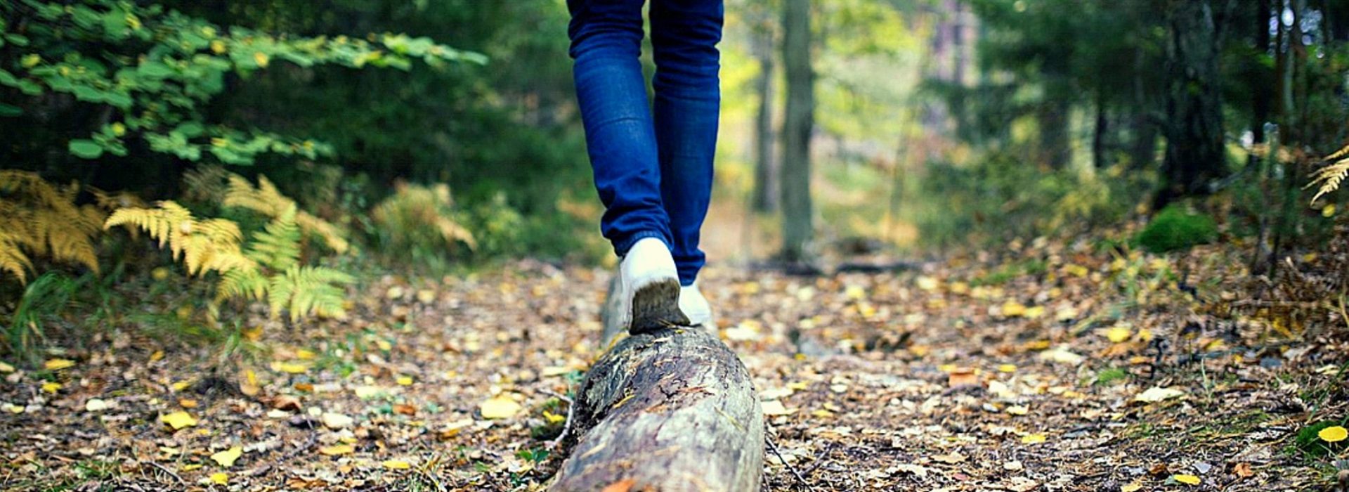 person walking in the wooids|hike trails near Rabbit Hill Inn